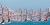 BIC-Techno-One-design-windsurfing-race-deska-klasa-klub-regaty-trening
