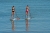 TAHE_SUP_2021_TAHE_NLN5_4184_HR.jpg